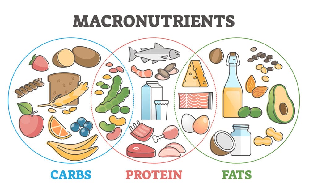 Nutrition for Calisthenics: Your Complete Guide to Fueling Your Body
