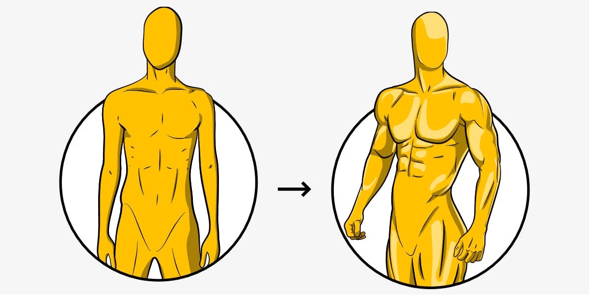 Can Calisthenics Build Muscle? The Truth About Bodyweight Training