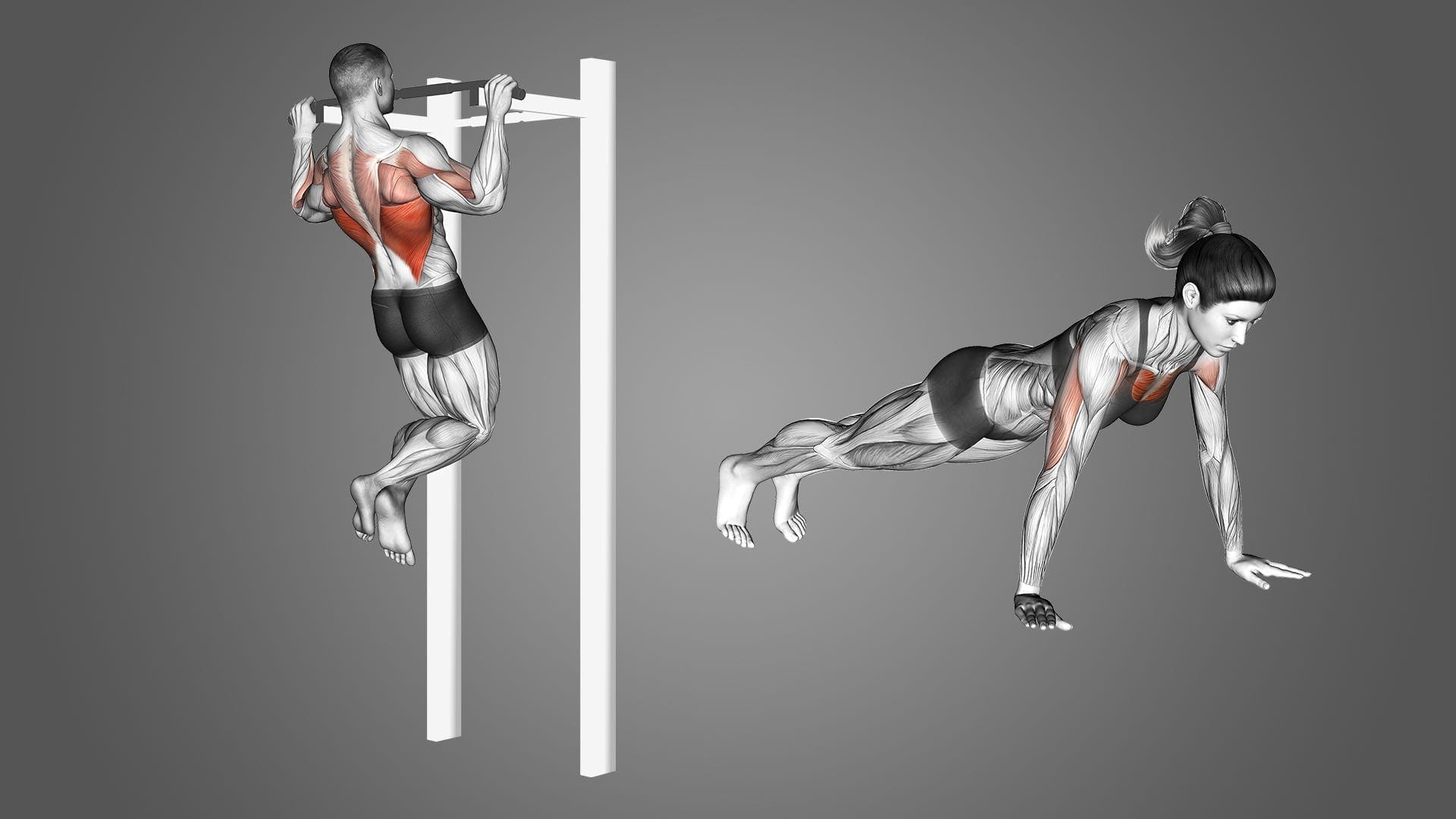 Beginner’s Guide to Calisthenics: How to Start & Build Strength Naturally